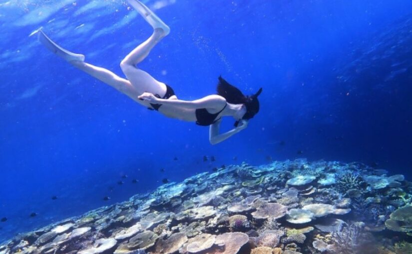 プーケットの離島でシュノーケリングを楽しむ女性。透明度の高い青い海の中に広がる美しいサンゴ礁。