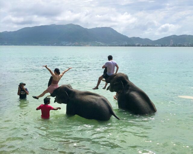 海辺で象と触れ合うエレファントのアクティビティ