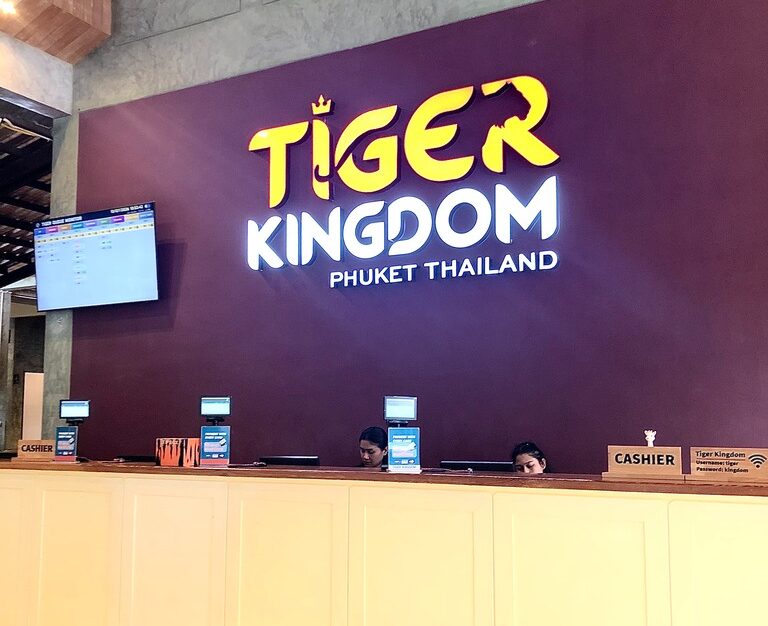 【プーケット/半日/貸切】タイガーキングダムで猛獣と間近で触れ合い＆海で楽しむエレファントスイム！動物好きにはたまらない贅沢な時間を♪《日本語ガイド/5名まで同額》（No.3）