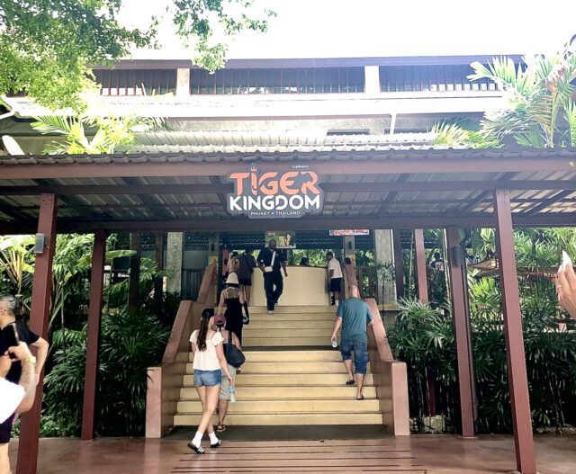 タイガーキングダム