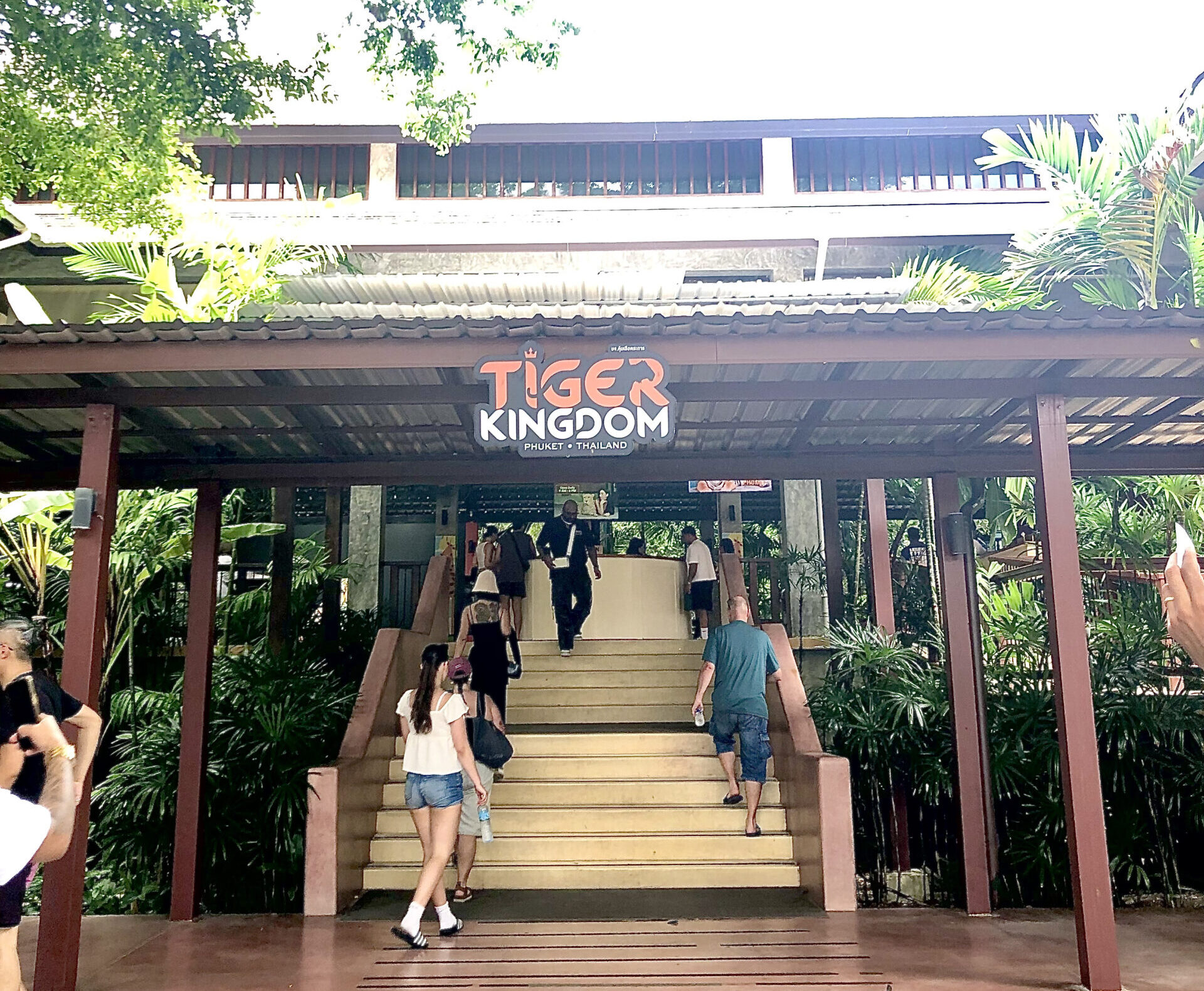 【プーケット/半日/貸切】タイガーキングダムで猛獣と触れ合い＆迫力満点のエレファントトレッキング！非日常の動物体験を満喫♪《日本語ガイド/5名まで同額》 （No.1）