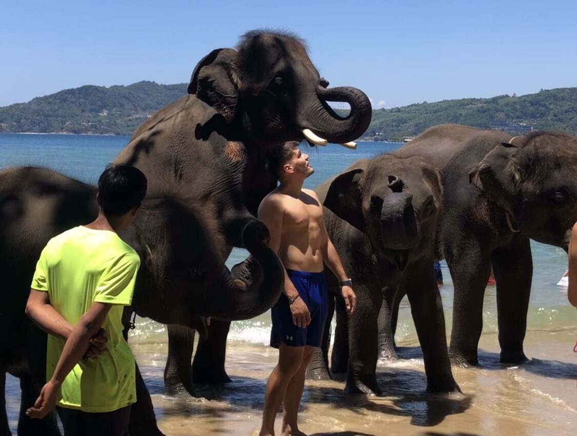 【プーケット/半日/貸切】タイガーキングダムで猛獣と間近で触れ合い＆海で楽しむエレファントスイム！動物好きにはたまらない贅沢な時間を♪《日本語ガイド/5名まで同額》（No.3）