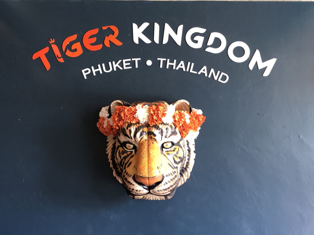【プーケット/半日/貸切】タイガーキングダムで猛獣と触れ合い＆迫力満点のエレファントトレッキング！非日常の動物体験を満喫♪《日本語ガイド/5名まで同額》 （No.1）
