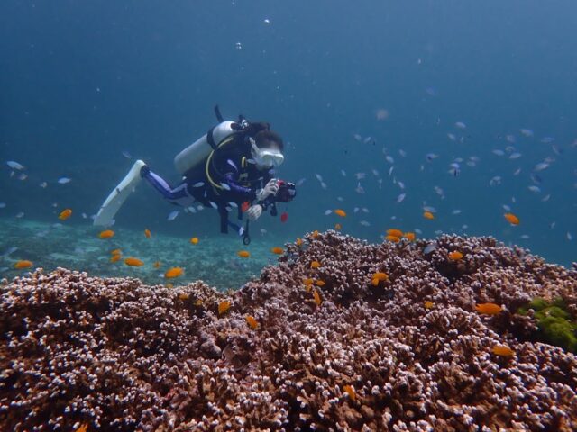 ラチャノイ島　ラチャヤイ島　ファンダイビング