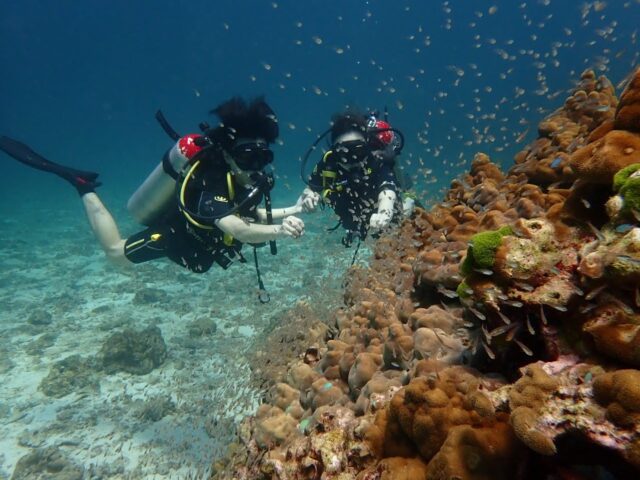 ラチャノイ島体験ダイビング