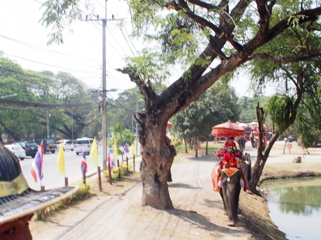 プーケット　象乗り体験