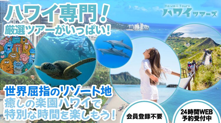 新TOPハワイKV_sp