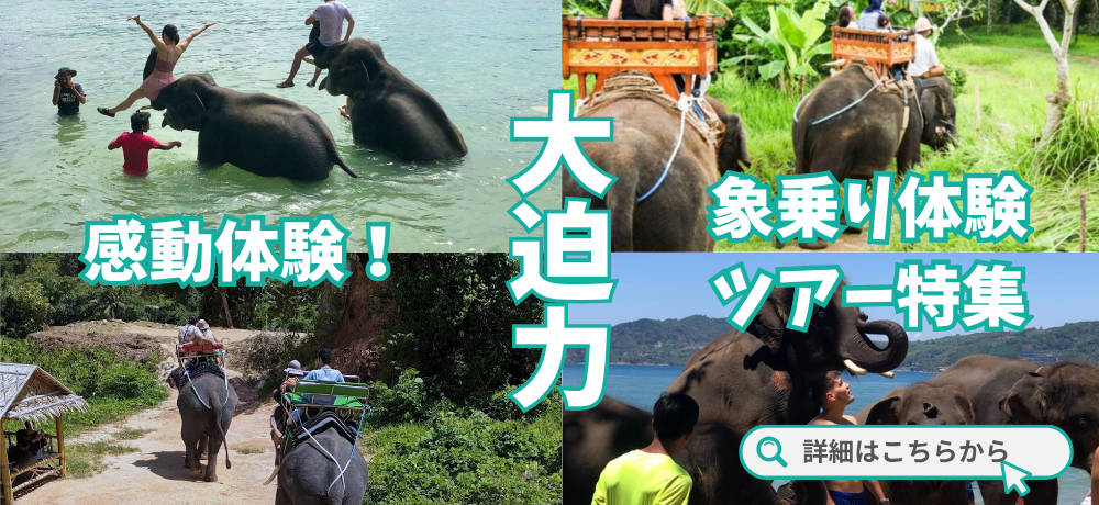 Phuket Elephant Riding Experience KV_pc